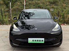 Tesla Model Y Rear-Wheel Drive - ფოტო 2