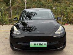 Tesla Model Y Rear-Wheel Drive - ფოტო 3