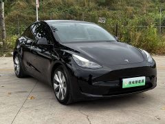 Tesla Model Y Rear-Wheel Drive - ფოტო 5