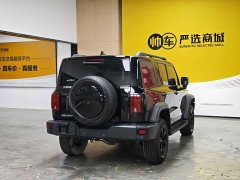 Tank 300 2021 Off-Road Edition 2.0T Conqueror - ფოტო 6