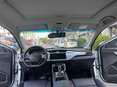Geely Binrui 2020 Facelift 1.4T CVT Asian Games Edition - ფოტო 11