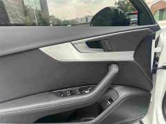 Audi A4L 40 TFSI Luxury Dynamic - ფოტო 17
