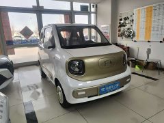FAW Besturn Xiaoma 222km Cute Horse - ფოტო 3