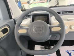 FAW Besturn Xiaoma 222km Cute Horse - ფოტო 9
