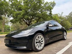 Tesla Model 3 Standard Range RWD Upgrade - ფოტო 1