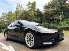 Tesla Model 3 Standard Range RWD Upgrade - ფოტო 3