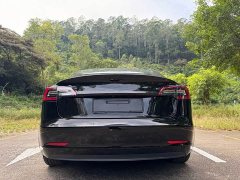 Tesla Model 3 Standard Range RWD Upgrade - ფოტო 8