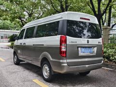 New Haima Lion Basic - ფოტო 5