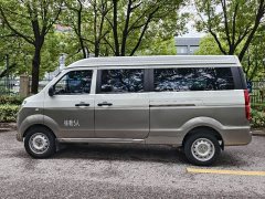 New Haima Lion Basic - ფოტო 6