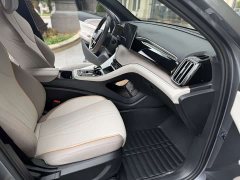 BYD Song Pro New Energy DM-i 71KM Glory Edition Pilot - ფოტო 6
