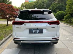 Haval H6 National Trend 1.5GDIT Automatic Champion Edition - ფოტო 11