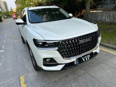 Haval H6 National Trend 1.5GDIT Automatic Champion Edition - ფოტო 3