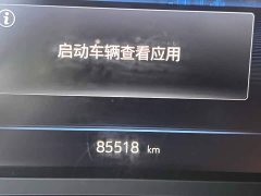 Buick GL8 2022 Land Executive Cabin 652T Luxury - ფოტო 13