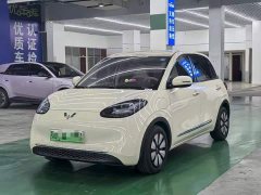 Wuling Binguo 333km Joy Edition - ფოტო 1