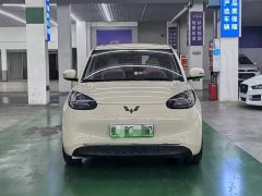 Wuling Binguo 333km Joy Edition - ფოტო 2
