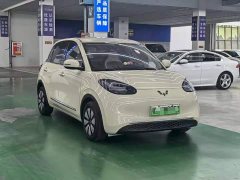 Wuling Binguo 333km Joy Edition - ფოტო 3