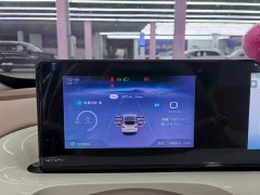 Wuling Binguo 333km Joy Edition - ფოტო 5