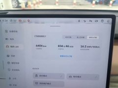 Nio Lerado L60 60kWh AWD - ფოტო 6
