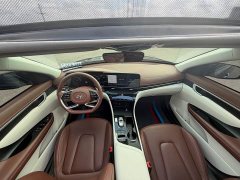Hyundai Mingtu 270TGDi DCT TOP Flagship - ფოტო 9