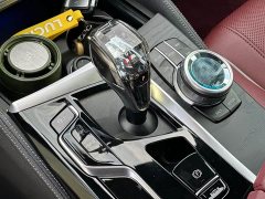 BMW 5 Series 530Li Premier M Sport Package - ფოტო 14