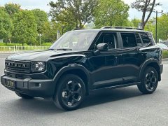 Jetour Jietu Liberator 2.0TD XWD Conquest - ფოტო 3