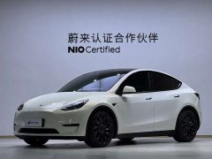 Tesla Model Y High Performance All-Wheel Drive - ფოტო 1