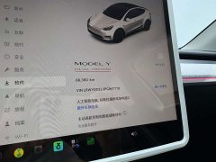 Tesla Model Y High Performance All-Wheel Drive - ფოტო 14