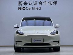 Tesla Model Y High Performance All-Wheel Drive - ფოტო 2