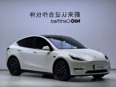 Tesla Model Y High Performance All-Wheel Drive - ფოტო 3