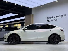 Tesla Model Y High Performance All-Wheel Drive - ფოტო 4