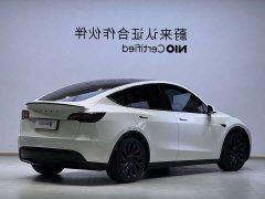 Tesla Model Y High Performance All-Wheel Drive - ფოტო 6