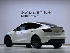 Tesla Model Y High Performance All-Wheel Drive - ფოტო 8