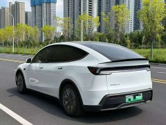 Tesla Model Y L Long Range All-Wheel Drive - ფოტო 9