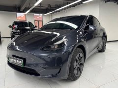 Tesla Model Y Rear-Wheel Drive - ფოტო 1