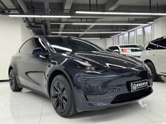Tesla Model Y Rear-Wheel Drive - ფოტო 3