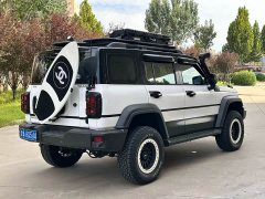 Tank 300 2021 Off-Road Edition 2.0T Conqueror - ფოტო 9