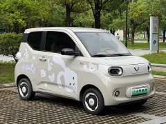Wuling Hongguang MINIEV 2024 Third Generation 215km Advanced Edition - ფოტო 3
