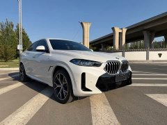 BMW X6 2023 xDrive40i M Sport Premium Package - ფოტო 2