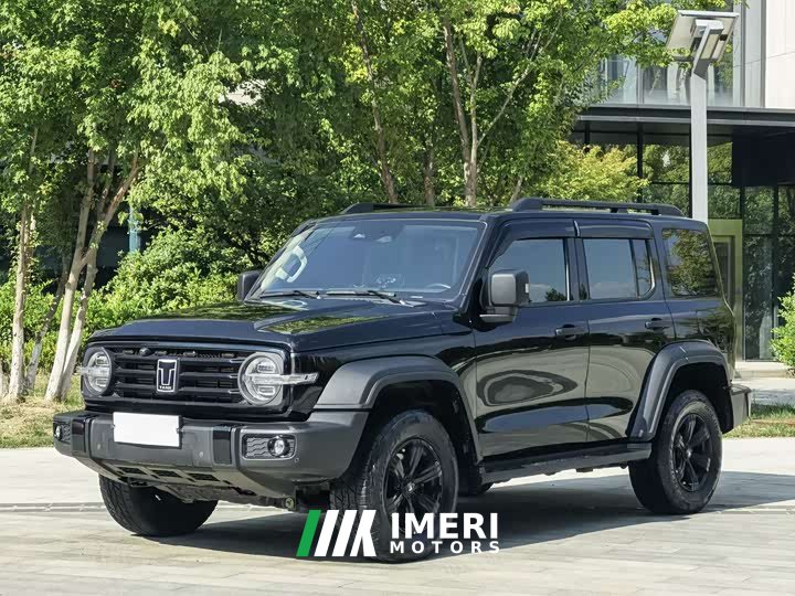 Tank 300 2.0T Conqueror - ავტომობილი ჩინეთიდან