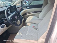 Buick GL8 Land Official Business Class 652T Comfort Edition - ფოტო 19