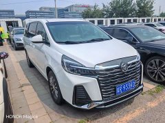 Buick GL8 Land Official Business Class 652T Comfort Edition - ფოტო 3