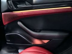 Porsche Panamera 2.9T - ფოტო 13