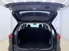 Ford Lingrui EcoBoost 170 Premium Edition - ფოტო 20