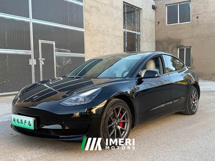 Tesla Model 3 Rear-Wheel Drive
