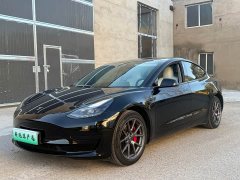 Tesla Model 3 Rear-Wheel Drive - ფოტო 1