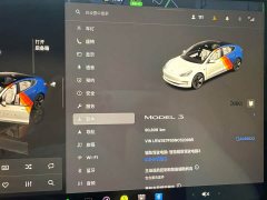 Tesla Model 3 Rear-Wheel Drive - ფოტო 14