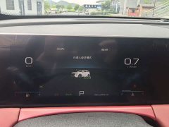 Jetour Jietu X70 PLUS 2024 Champion Edition 1.5T DCT Champion PRO 7-Seater - ფოტო 12