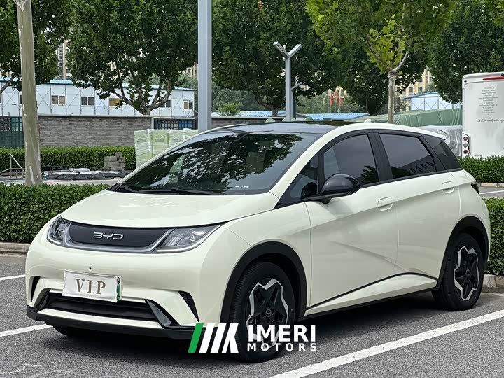 BYD Dolphin 405km Fashion Edition - ავტომობილი ჩინეთიდან