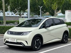 BYD Dolphin 405km Fashion Edition - ფოტო 1