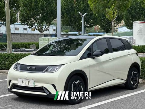 2022 BYD Dolphin 405km Fashion Edition